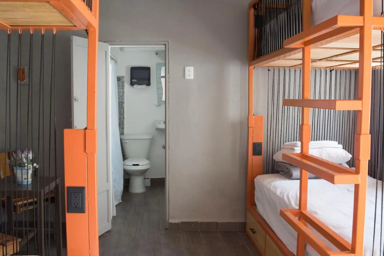 **  El Tigre De Santiago Hostel Mérida Mexico